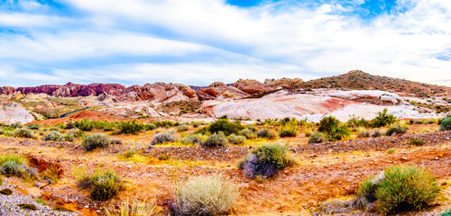 The colorful red, yellow and white sandstone rock formations along the White Dome Trail in the Valley of Fire State Park in Nevada, USA