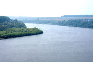 Mountain green forest and river in summer