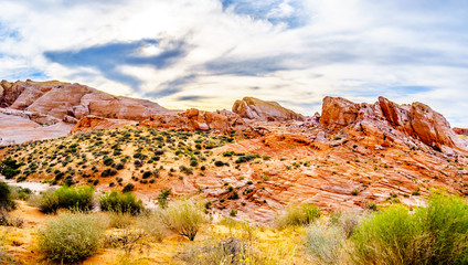 The colorful red, yellow and white sandstone rock formations along the White Dome Trail in the Valley of Fire State Park in Nevada, USA