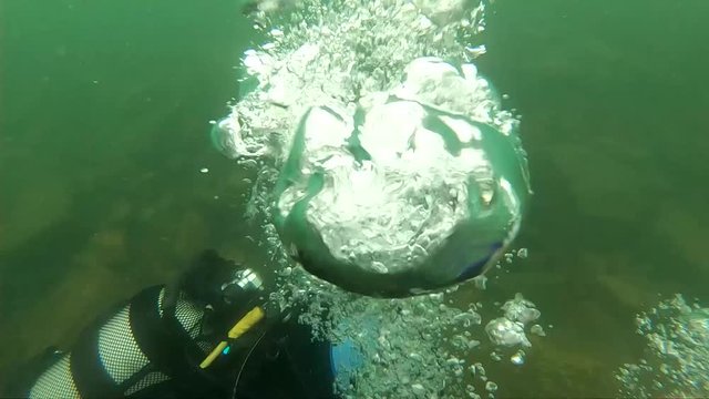 first dive in cold water, diving instructor conducting a shallow water scuba diving course in a Mountain Lake