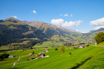 Mountain valley with green grass and village below. View from height