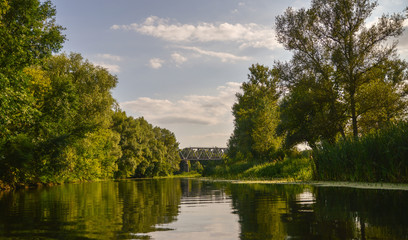 lake in the park