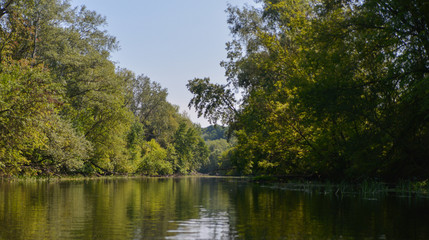 Obraz premium lake in the forest