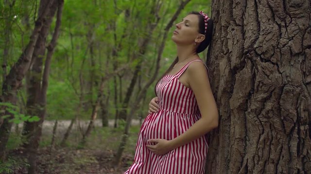 Pregnant girl in the park on a background of green trees. A girl with long dark hair in a striped white-red dress stands leaning on a tree in the park and stroking her tummy.