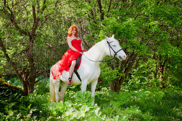 Girl in beautiful red dress on white horse in Park or forest. Photo shoot models and fashion