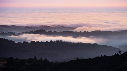 Sunset view of layered hills and valleys covered by a sea of clouds in Santa Cruz mountains ; San Francisco bay area, California