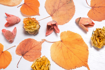 Fototapeta na wymiar Autumn composition. Fallen yellow autumn leaves, cones and flowers on the table flatlay