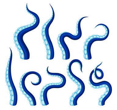 Blue tentacles of an octopus. Vector illustration on white background.