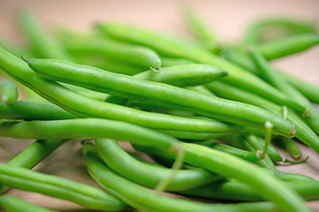 Grüne Bohnen, Phaseolus vulgaris