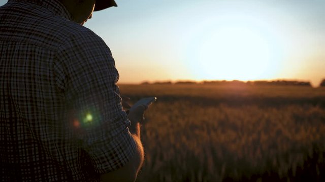 Agronomist mature man using smartphone in agriculture farm. Close up farmer with mobile phone in hands in the field at sunset.