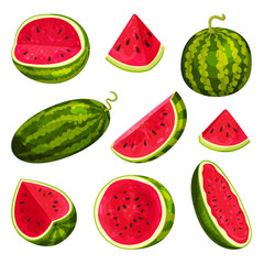 Set of images of watermelons. Vector illustration on white background.