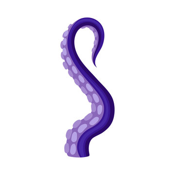 Violet tentacle octopus with a half-ring on the end to the right. Vector illustration on white background.