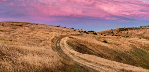 Sunset view of hiking trail through golden hills in Santa Cruz mountains; pink and red colored...