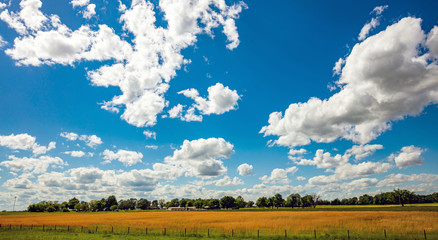 Sunny spring day in countryside. Agricultural land, blue sky with clouds. - obrazy, fototapety, plakaty