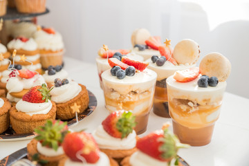 candy buffet with white souffle in glasses.Delicious sweet buffet with cupcakes, tiramisu glasses and other desserts.fruit cakes for holiday.Candy Bar. Delicious sweet buffet with cupcakes. Sweet