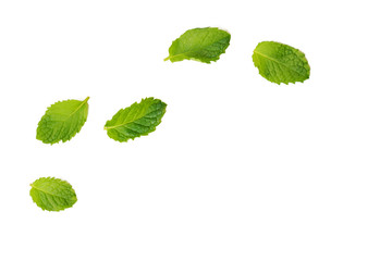 Set of fresh mint leaves on isolated white background