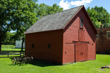 Obraz premium Minnesota Forest