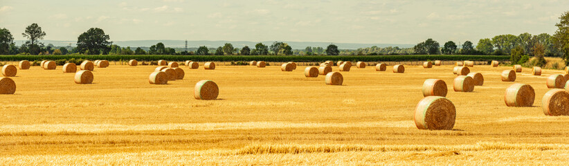 Strohballen auf dem Feld