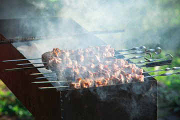 cooking meat at bbq fire