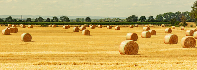 Strohballen auf dem Feld