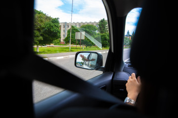 car travel concept view of hand in rear mirror