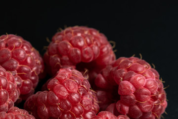 Macro view of red ripe raspberry fruits