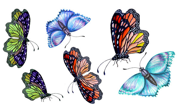 Set of watercolor illustrations depicting bright butterflies hand-painted.
