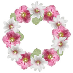 Beautiful floral circle of white and pink mallow. Isolated