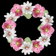 Beautiful floral circle of white and pink mallow. Isolated