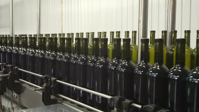 Bottling and sealing conveyor line at winery factory