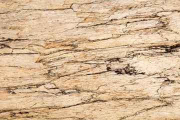 Holzstruktur