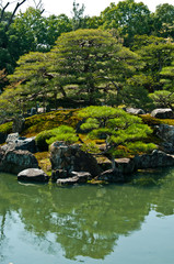 Fototapeta na wymiar Landscape around Nijo Castle in Kyoto,Japan.