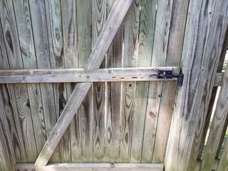 carpenter bee holes in wood fence door