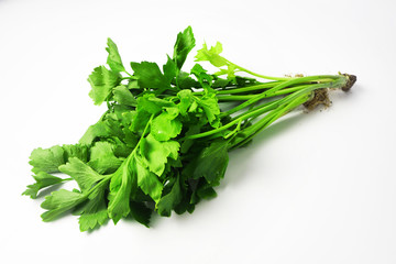 celery on white background