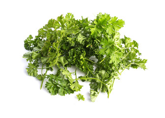 Stems with parsley leaves