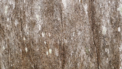 Obraz premium stone wood background, gray wooden background