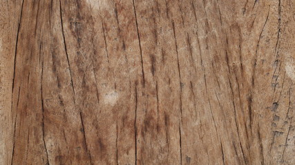 texture of hardwood , redwood background, wooden wall