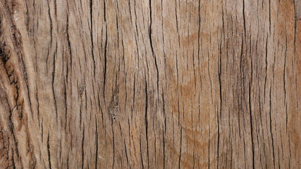 tree wood board texture background, brown hardwood texture