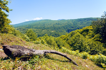 Fototapeta na wymiar Panoramic view on mountains green valley