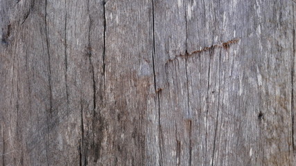 old wooden board texture, gray wood background