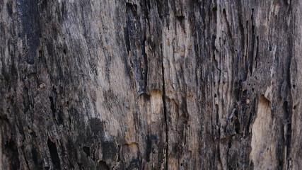 old wooden board texture, gray wood background