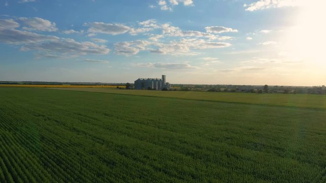 modern grain silos elevator at the field of blooming sunflowers aerial view