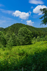 Fototapeta na wymiar Mountainous forest landscape with blue sky and clouds