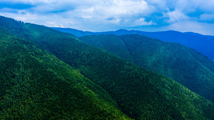 Aerial view of mountains covered with coniferous forests