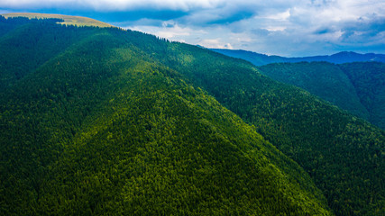 Fototapeta premium Aerial view of mountains covered with coniferous forests