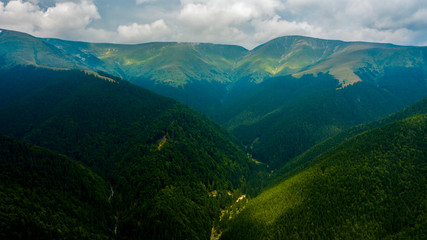 Fototapeta premium Aerial view of mountains covered with coniferous forests