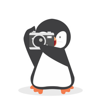 Cute Penguin with a camera