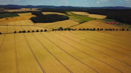 drone aerial over an agricultural landscape in the countryside