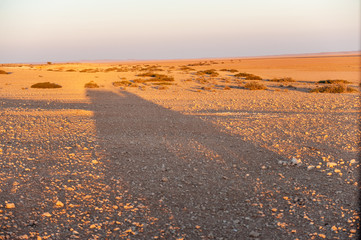 A safari vehicle is casting a long shadow in the early morning. Khomas region, Namibia.