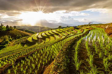 Pa Bong Piang Rice Terraces in the rainy season, Chaingmai, Thailand